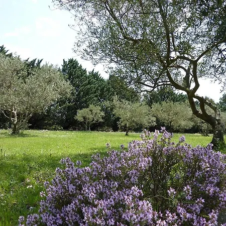 Les Mazets Du Luberon Bed & Breakfast 4*