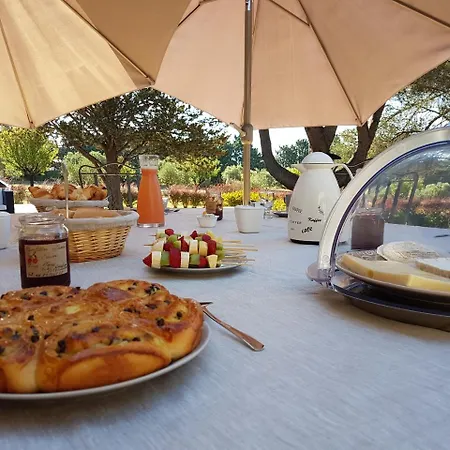 Les Mazets Du Luberon Bed & Breakfast Puget